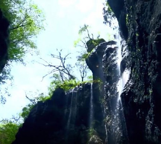 青山綠水，白龍江畔江畔息白鷺，兩岸綠橄欖入眼的都是純樸自然枝上花開，春來水暖魚蝦戲水，鳥語花香心中充滿著舒暢之感祥宇生態產業園，位于隴南市武..